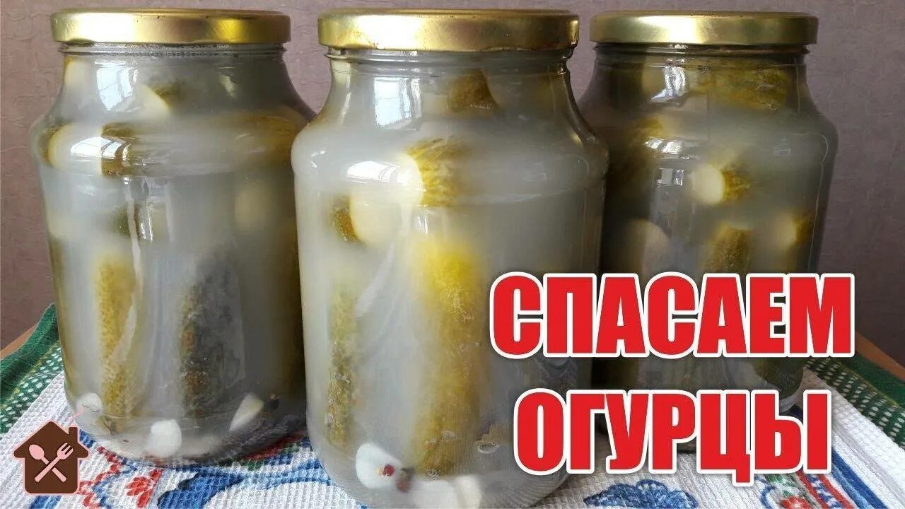 Замутнели банки с огурцами. Огурцы помутнели. Мутные банки с огурцами. Огурцы в банке.