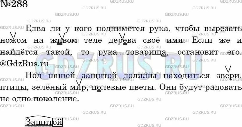 Стр 132 упр. Русский язык 5 класс ладыженская 288. русс яз 5 класс номер 288. русский язык 5 класс ладыженская упражнение 288. русский язык 5 класс номер 288 1 часть.