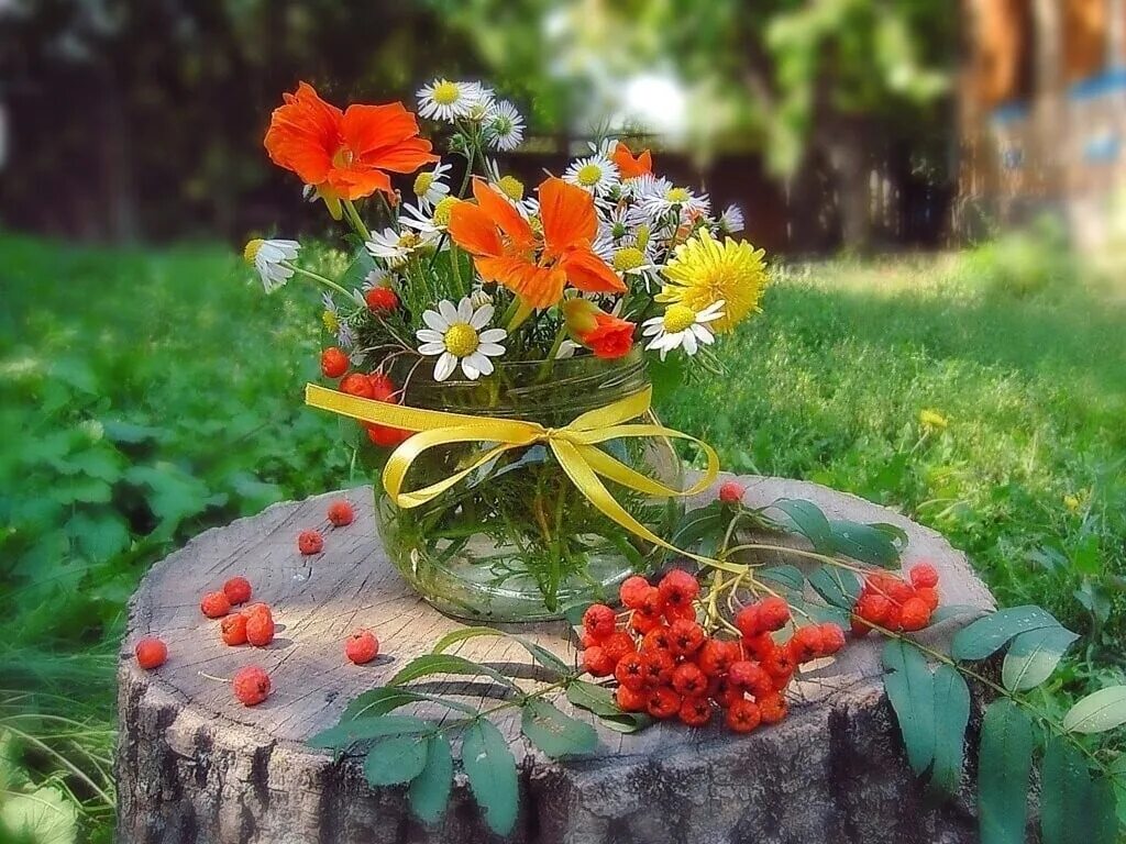 Поле с полевыми цветами. Красивые весенние цветы и бабочки. Открытки хорошего дня с бабочками. Лето солнце. Скоро лето цветы.