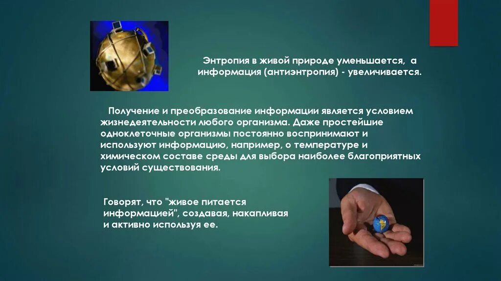 Телефон является информацией