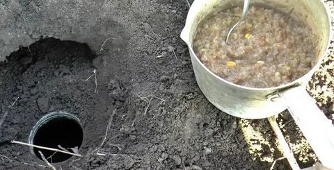 Как избавиться от карбыша