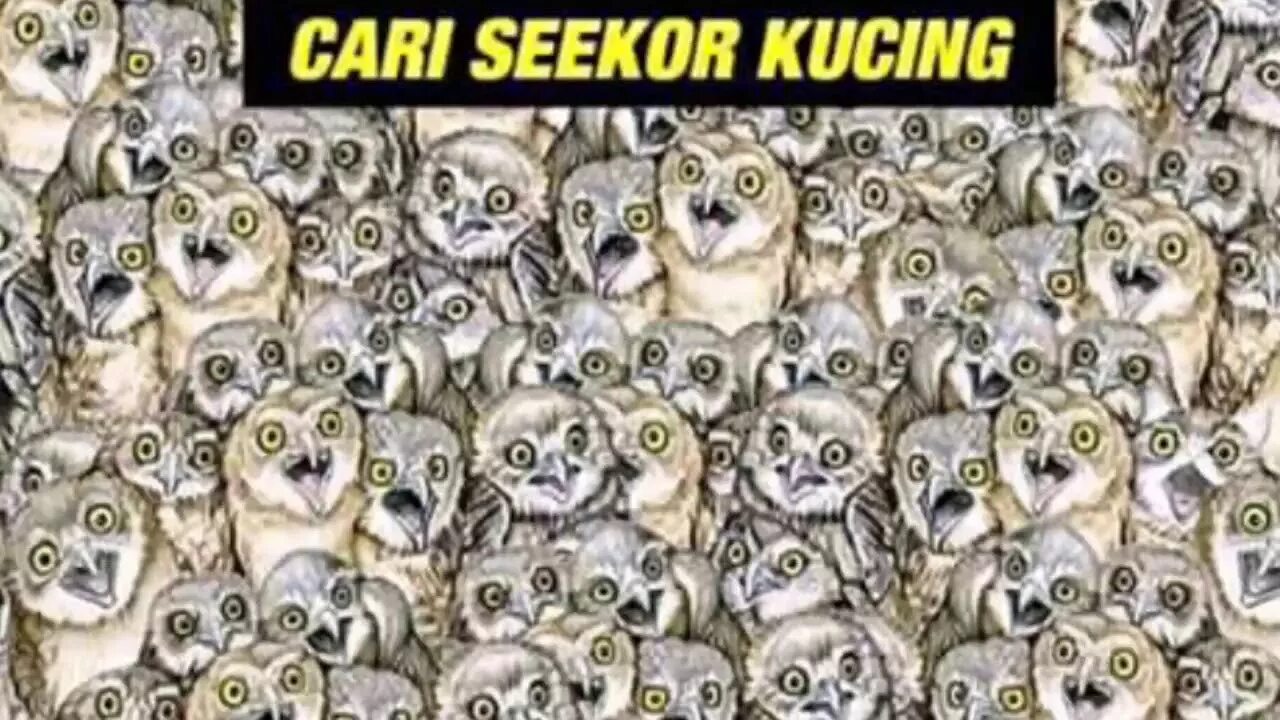 Головоломка найди. Найти ошибку. Сможете найти то что вам. Найди тут ошибку. Найдите здесь ошибку.