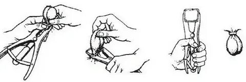 Yosh xotinning eshagida