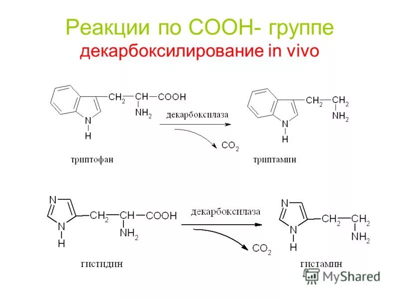 Декарбоксилирование триптофана in vitro. Декарбоксилирование in vivo. Схемы реакций декарбоксилирования триптофана. Декарбоксилирование аминокислот реакция