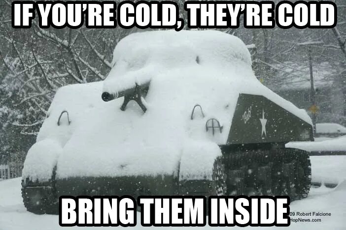 You re hot you re cold. They&#039;re cold. if you&#039;re cold they are cold. if you&#039;re cold they re cold bear. if youre cold theyre cold what&#039;s step 2.