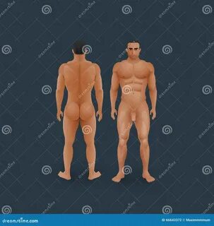 Illustration about Vector illustration of naked men body (front and back vi...