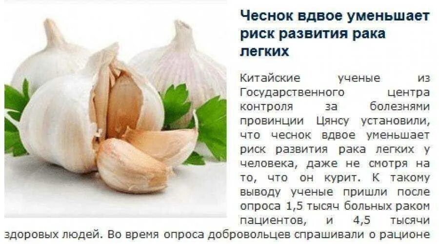 Можно ли есть чеснок при геморрое. Чем полезен чеснок. чем полезен чеснок для организма. полезен чеснок для.организма. чеснок свежий.