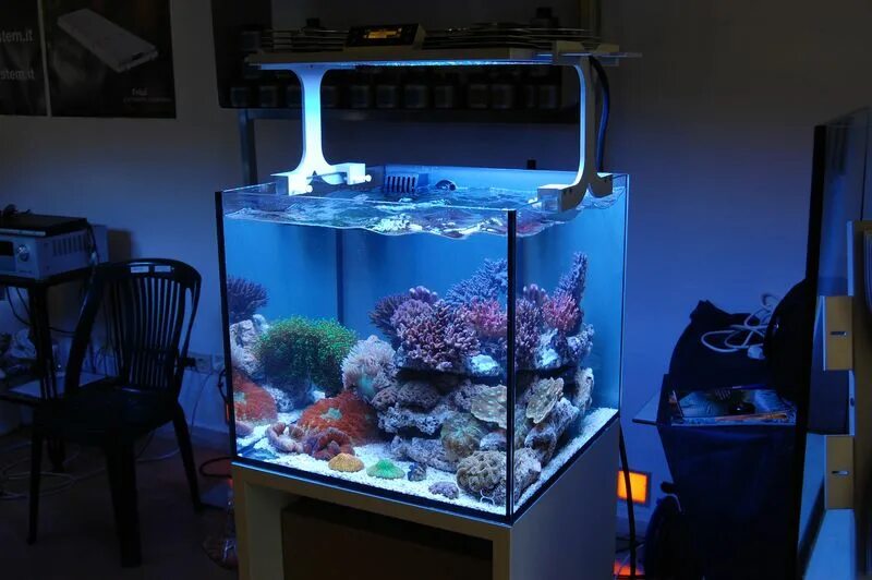 Нужен ли рыбкам свет в аквариуме ночью. Nano Aquarium Lamp n-6. Nano Marinus Reef Light 24 w. Морской нано аквариум. Технологичный аквариум.