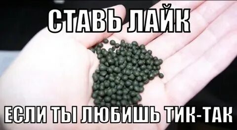 Насик форум багиня