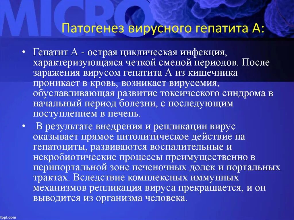 Патогенез вирусного гепатита в. Патогенез Виру ного гепатита. Патогенез острых вирусных гепатитов. Вирус гепатита а патогенез. Для вирусного гепатита а характерно