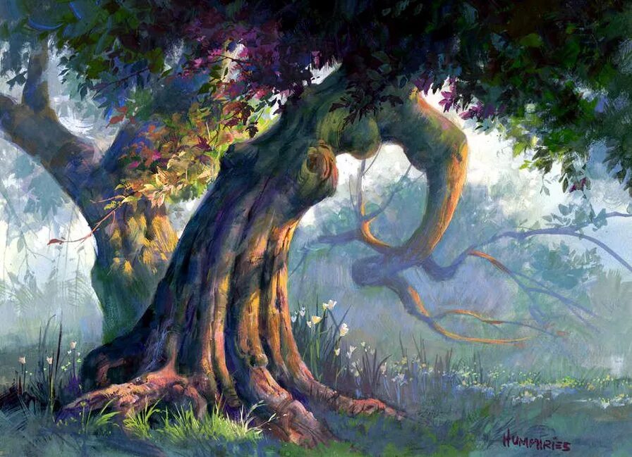 Лес где дерево на дереве стоит. Сказочное дерево. Сказочный дуб. Лесное сказочное дерево. Дерево иллюстрация.