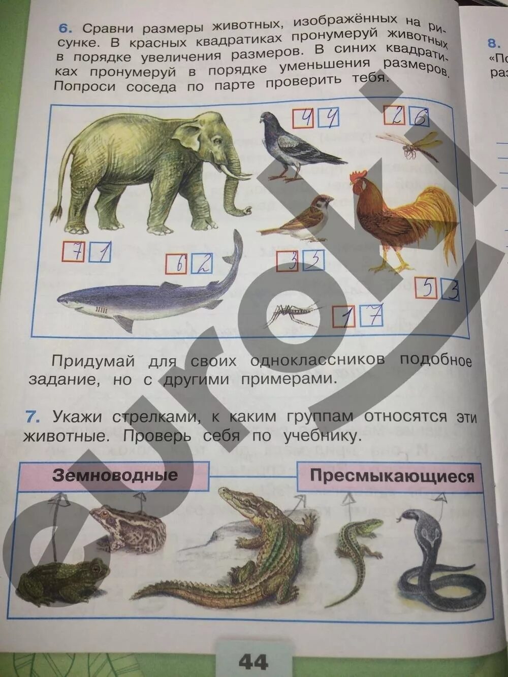 Окружающий мир 2 класс рабочая тетрадь 1 часть Плешаков ответы стр 43. Рабочая тетрадь окружающий мир 2 класс две части Плешаков. Окружающий мир 2 класс рабочая тетрадь 1 часть стр 45.