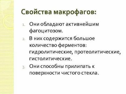 Основные функции макрофага