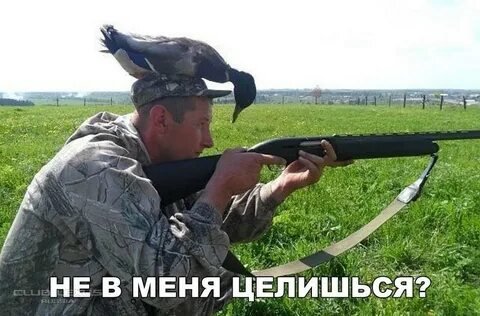 Что делают охотятся
