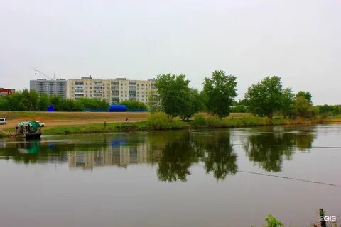 Шевелевка курган