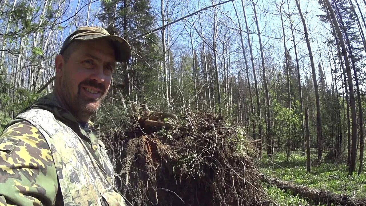Рыбалка дикой тайге новое видео братья приходько