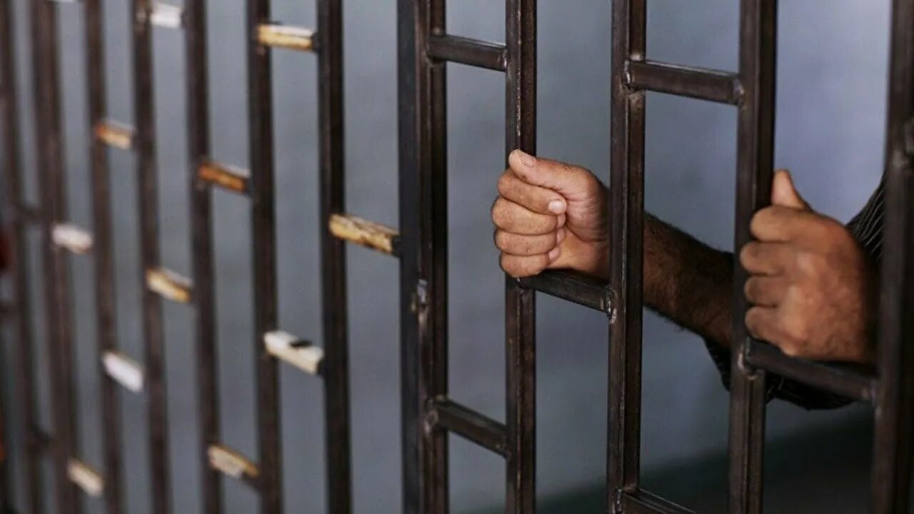Пожизненное лишение свободы устанавливается. Осужденный. лишение свободы. за решеткой.