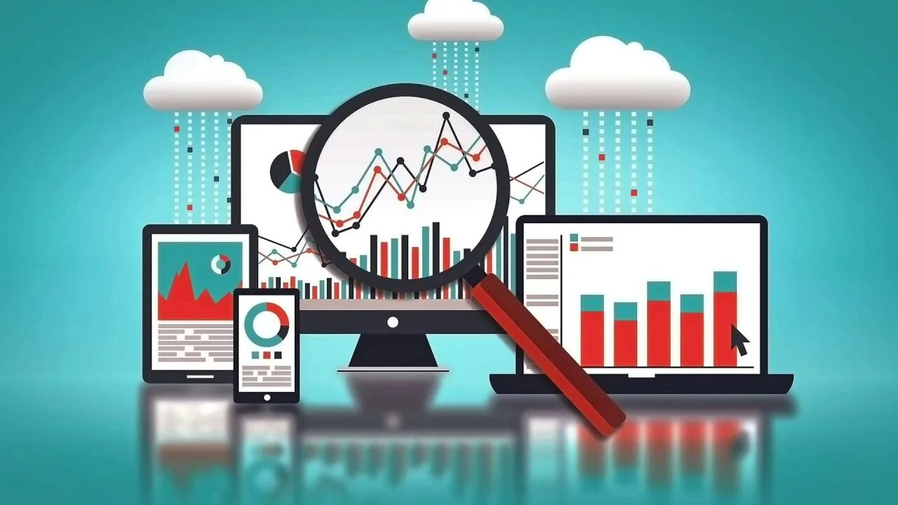 Web analyst