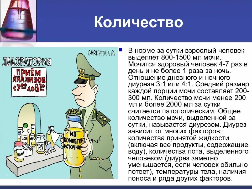 Сколько раз в сутки норма мочеиспускания. Количество мочи в сутки норма. Объем мочи в сутки норма. Количество мочи за сутки в норме. Количество выделяющейся мочи в сутки.