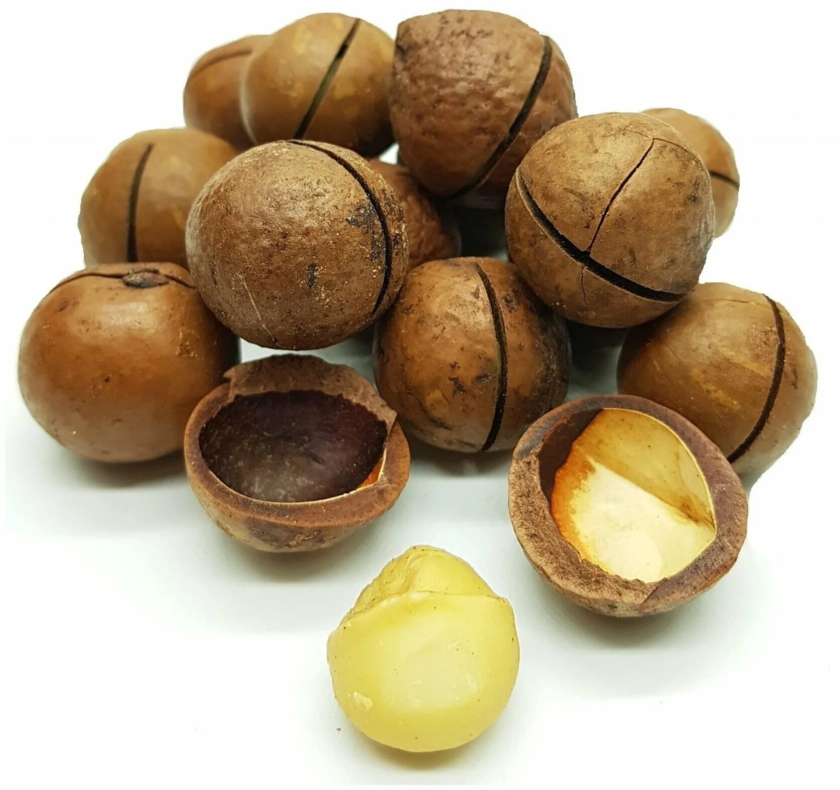 Бразильский орех в скорлупе. Миндаль макадамия. Мадагаскарский орех. Nuts macadamia in packaging 500g. Бразильский орех макадамия.