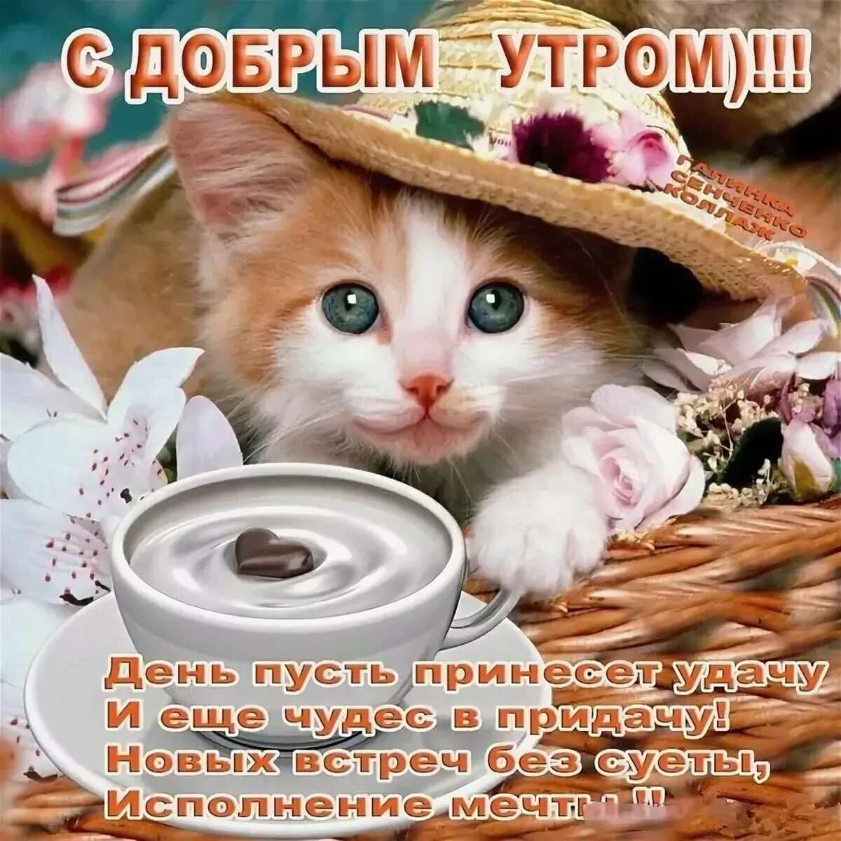 Доброе апрельское утро смешное. С добрым утром. пожелания сдобрым утиом. поздравление с добрым утром. пожелания мч с добрым утром.
