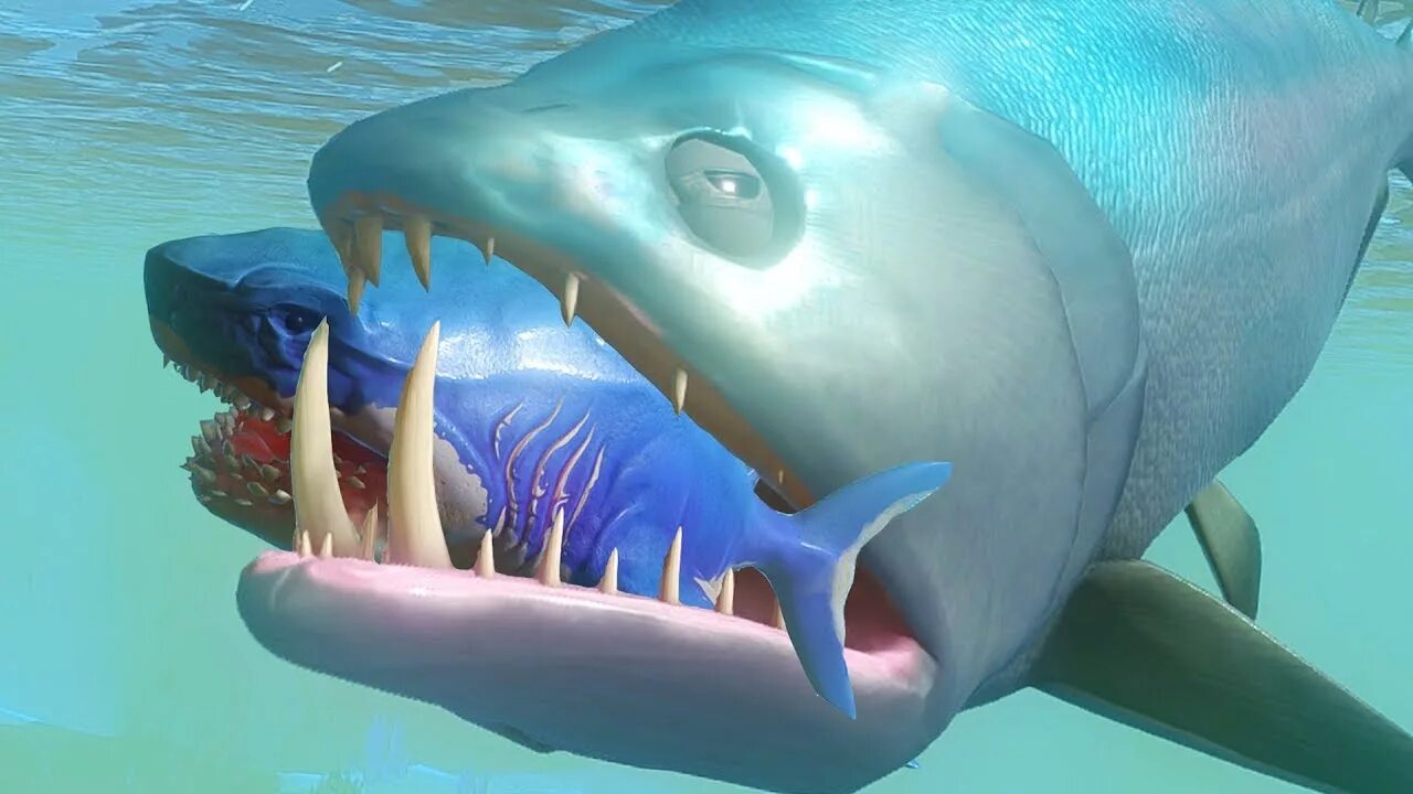 Megalodon fisch