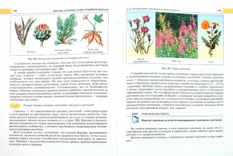 Биология растения бактерии грибы лишайники. Зелёные страницы 2 класс окружающий мир. С помощью книги зеленые страницы приведите примеры. С помощью книги зеленые страницы приведите примеры других видов.