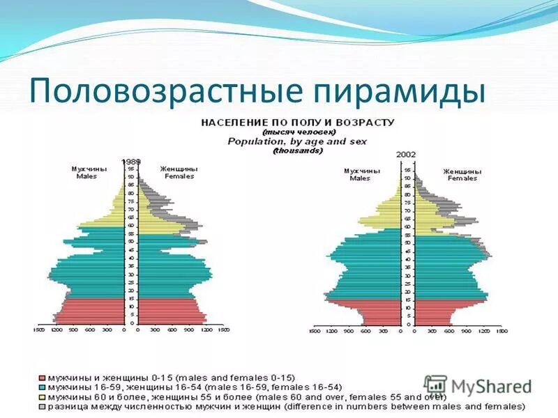 Италия пирамида населения. Возрастная пирамида швеции. Демографическая пирамида испании. Возрастно половая пирамида индии. Возрастная пирамида украины.