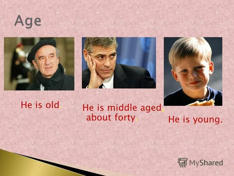 цифры на англским языку. Who is he. таблица i am he she it. He is forty. Youth and old quotes.