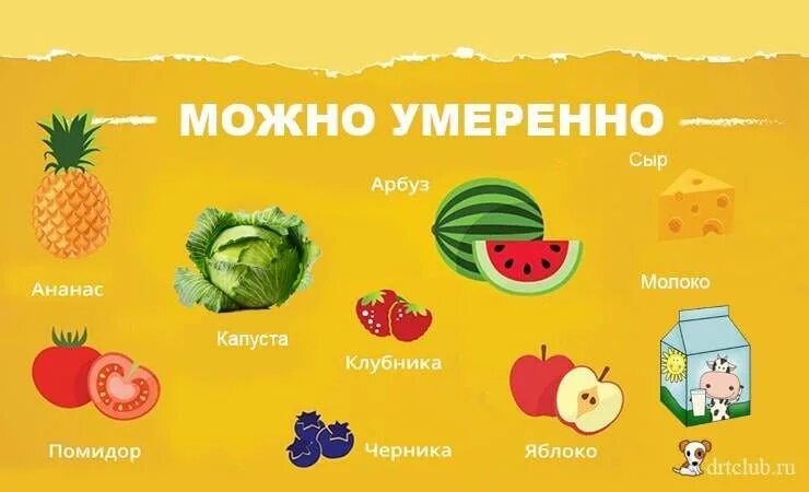 Можна давать. Что нельзадавать собаке. Какие фрукты можно собакам. Какие продукты нельзя давать собакам. Что можно давать собаке.