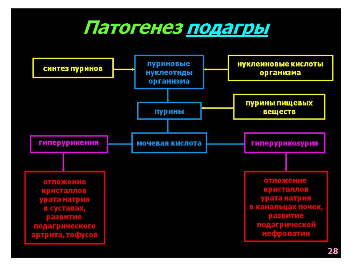 Механизм развития подагры схема. Механизм развития подагры патофизиология. Нарушение обмена мочевой кислоты подагра этиология. Патогенез патогенез подагры. Исходы патогенеза