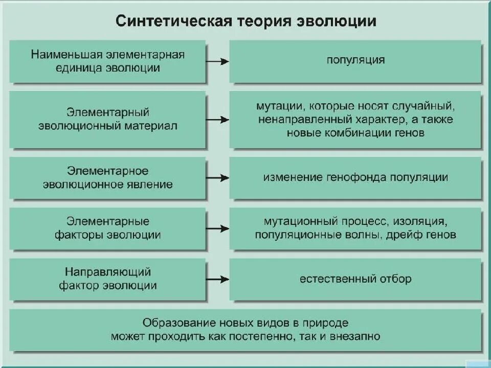 Факторы эволюции. Элементарные эволюционные факторы. Факторы синтетической теории эволюции. Факторы эволюции и их роль. Элементарные эволюционные факторы изоляция