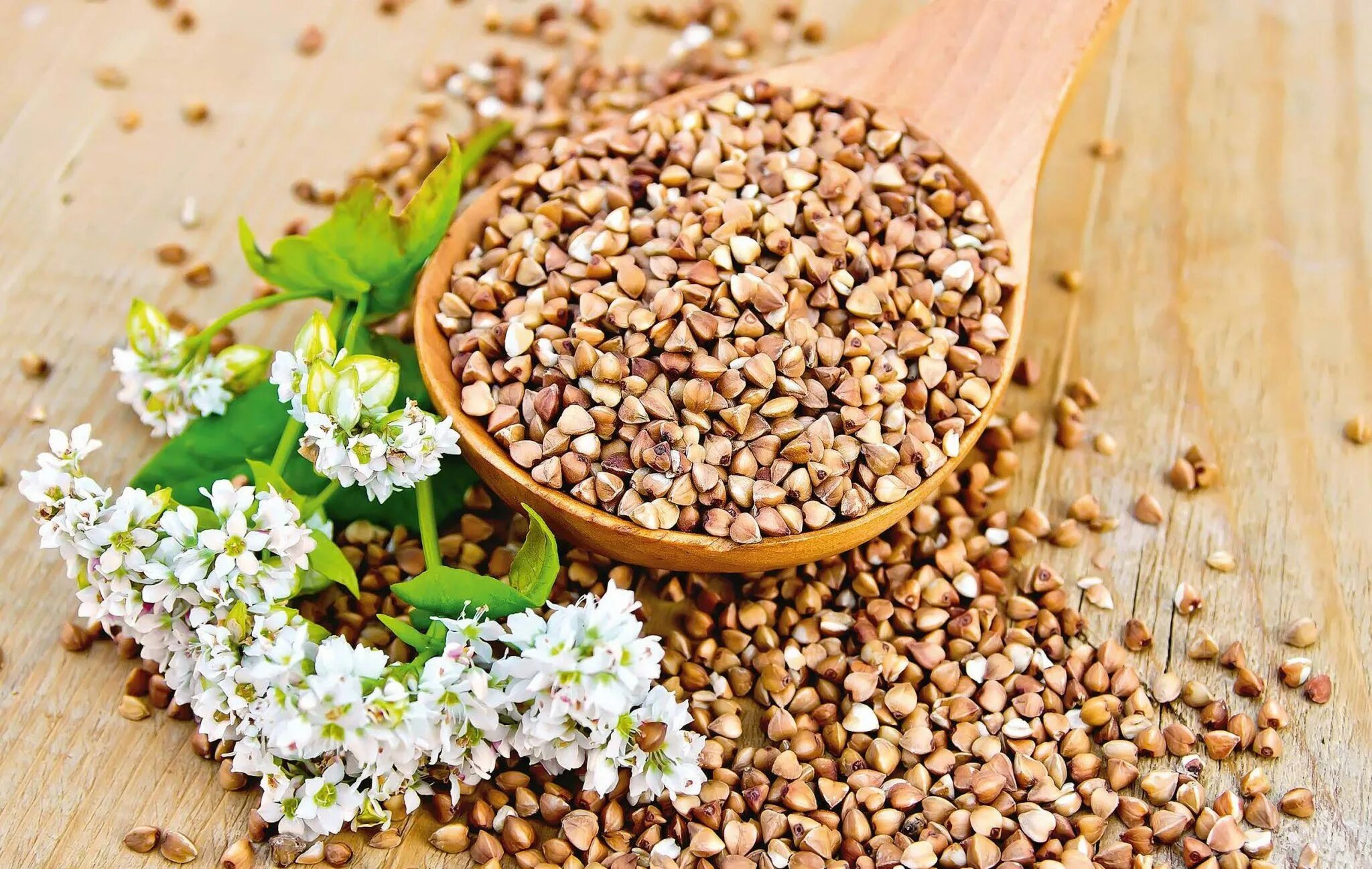 Крупа гречневая. Гречка фон. Гречневая крупа продел. Просо сорго крупа. Гречка крупа.