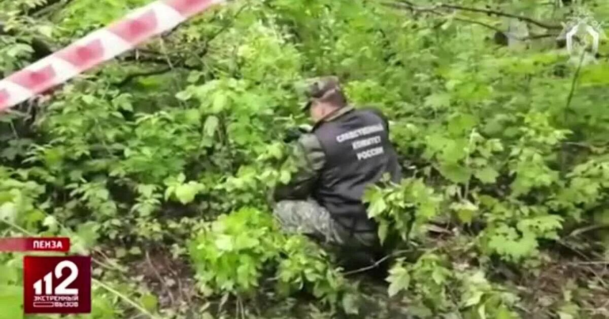 Нашли девочку ушедшую в лес. Убийство в лесу девочки. расследование убийства в лесу.