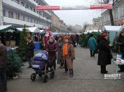 Назад в декабре