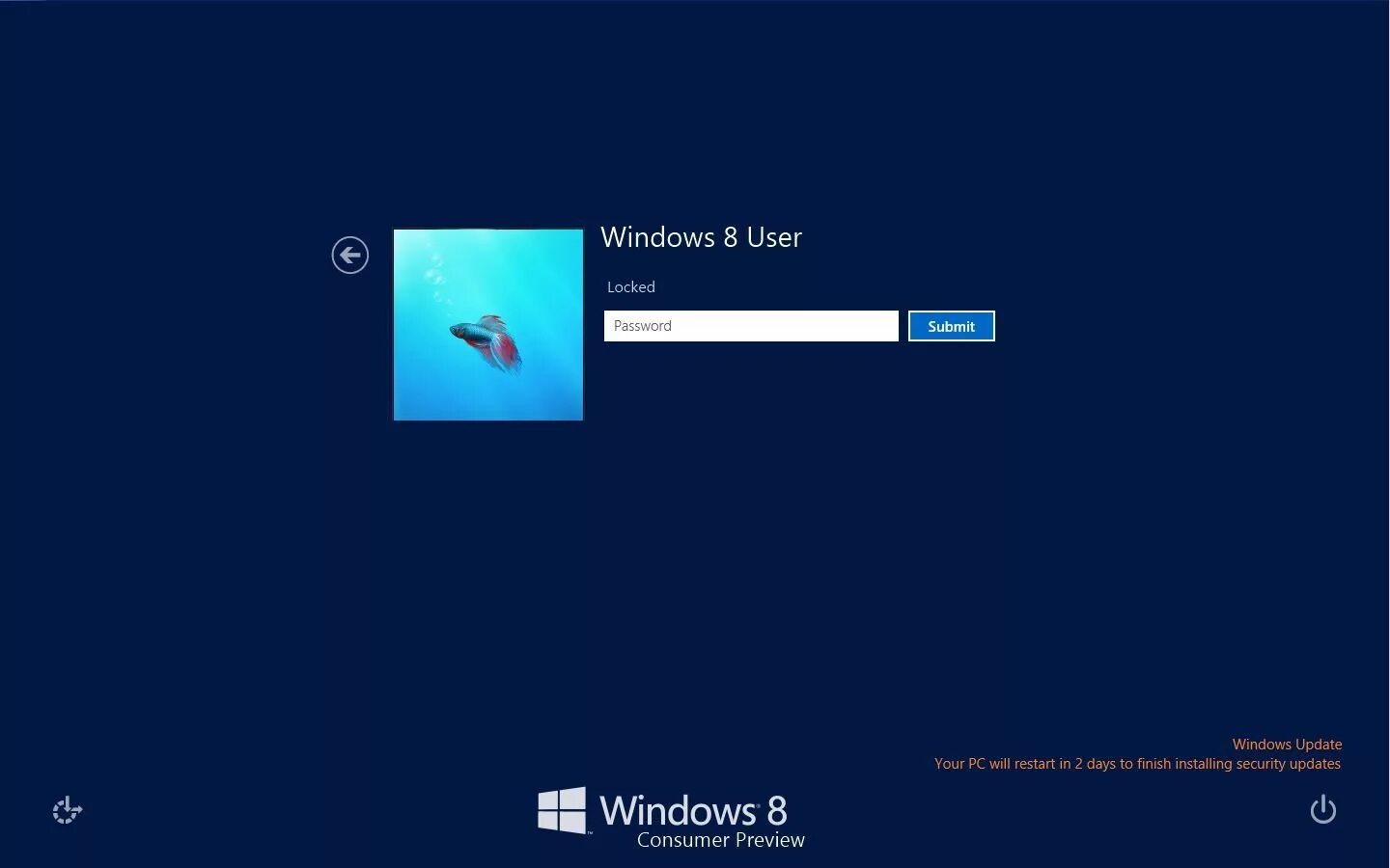 Окно приветствия. Экран приветствия Windows. Пароль Windows. Экран приветствия Windows 8.1. Виндовс user