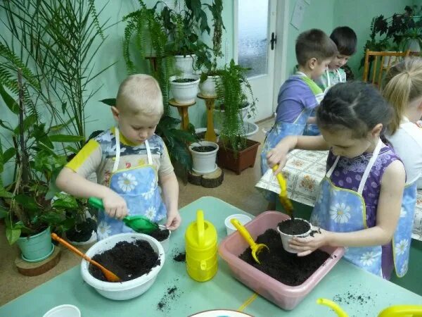 Эксперименты с растениями в детском саду. Экспериментирование для дошкольников. Экспериментируем в детском саду. Экспериментирование с детьми в детском саду.