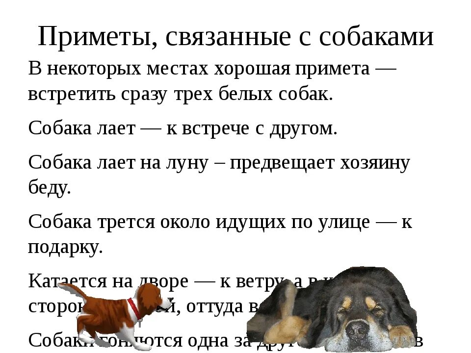 Плохие примет. Приметы про собак. Приметы связанные с собаками. Приметы. Хорошие приметы.