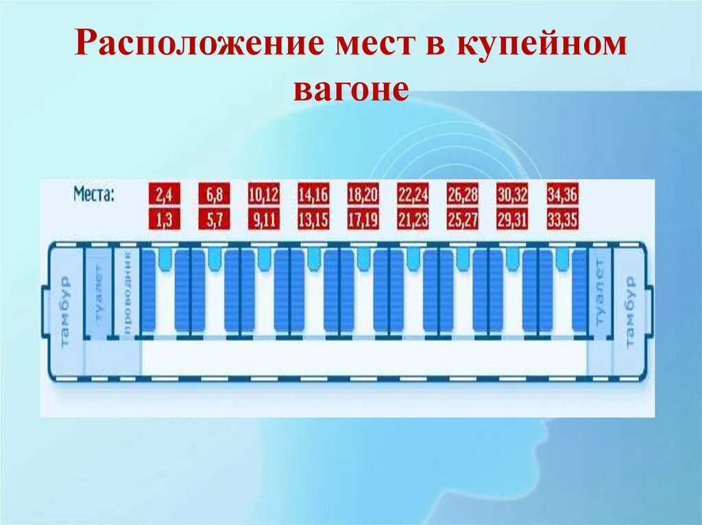 В каком купе аварийный выход. Купейный вагон расположение мест схема. Места вмкупейном вагоне. Места в купейном вагоне. Расположение в купейном вагоне.