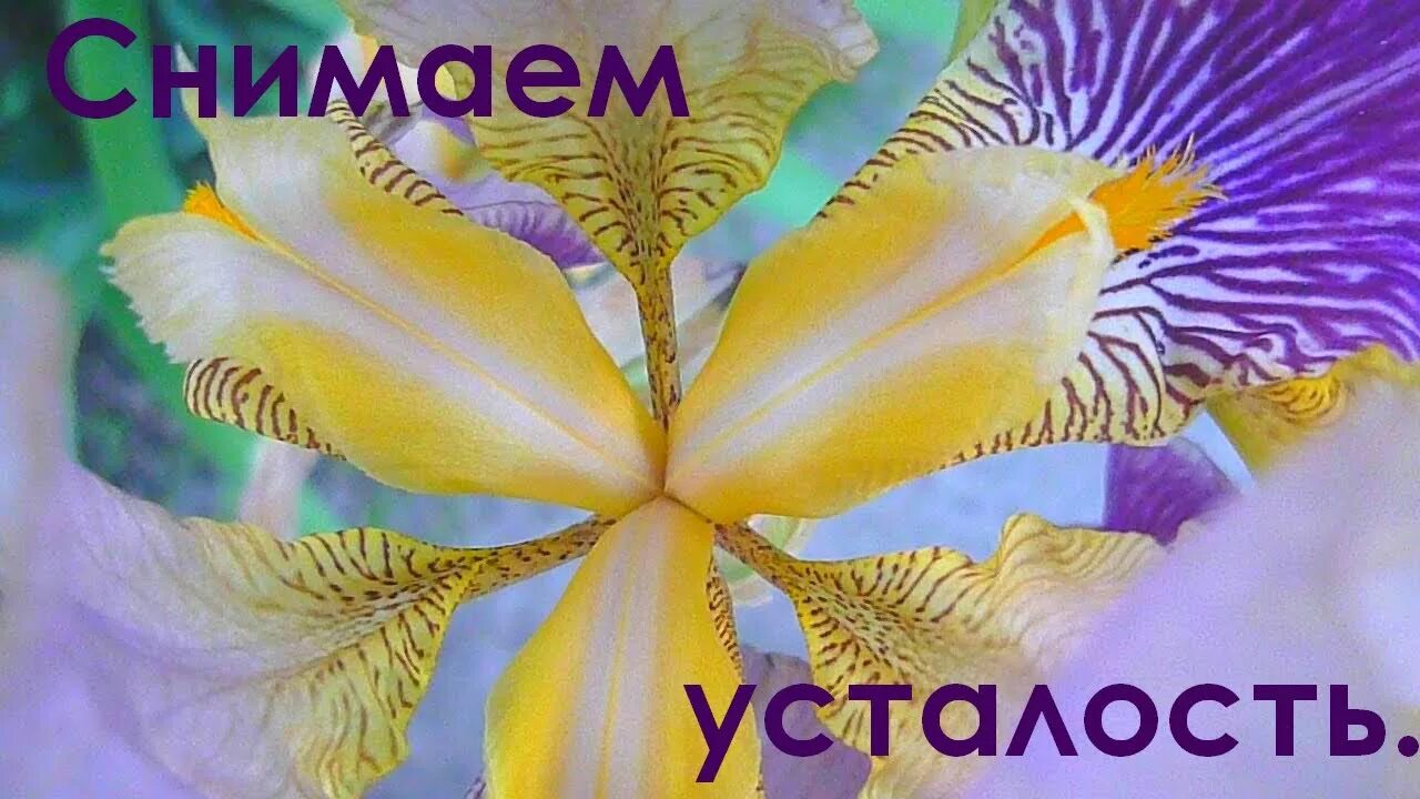 Музыка для снятия депрессии. Музыка для снятия стресса усталости и депрессии. Лечебная музыка для снятия депрессии. Картинки снятия негатива.