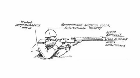 1 основы стрельбы