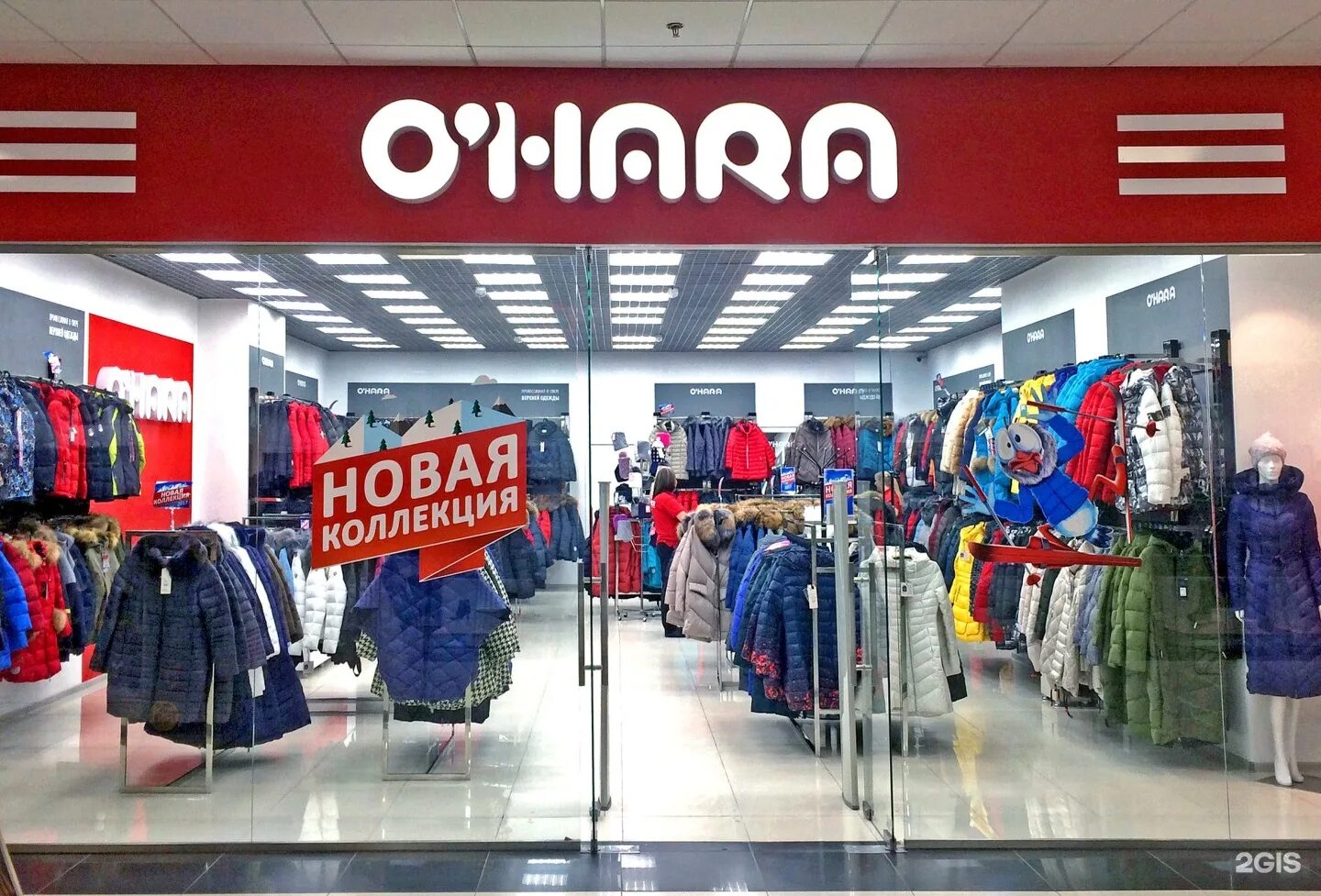 Охара чита