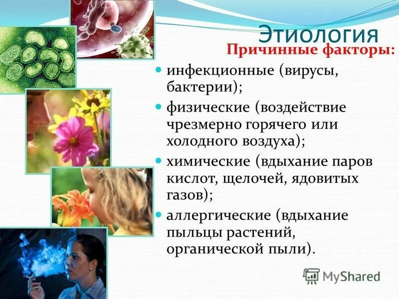 поллиноз 2023. вдыхание пыльцы растений, органической пыли. поллиноз сезонный аллергический ринит. механизм развития аллергической реакции 1 типа. причины аллергической реакции 1 типа.