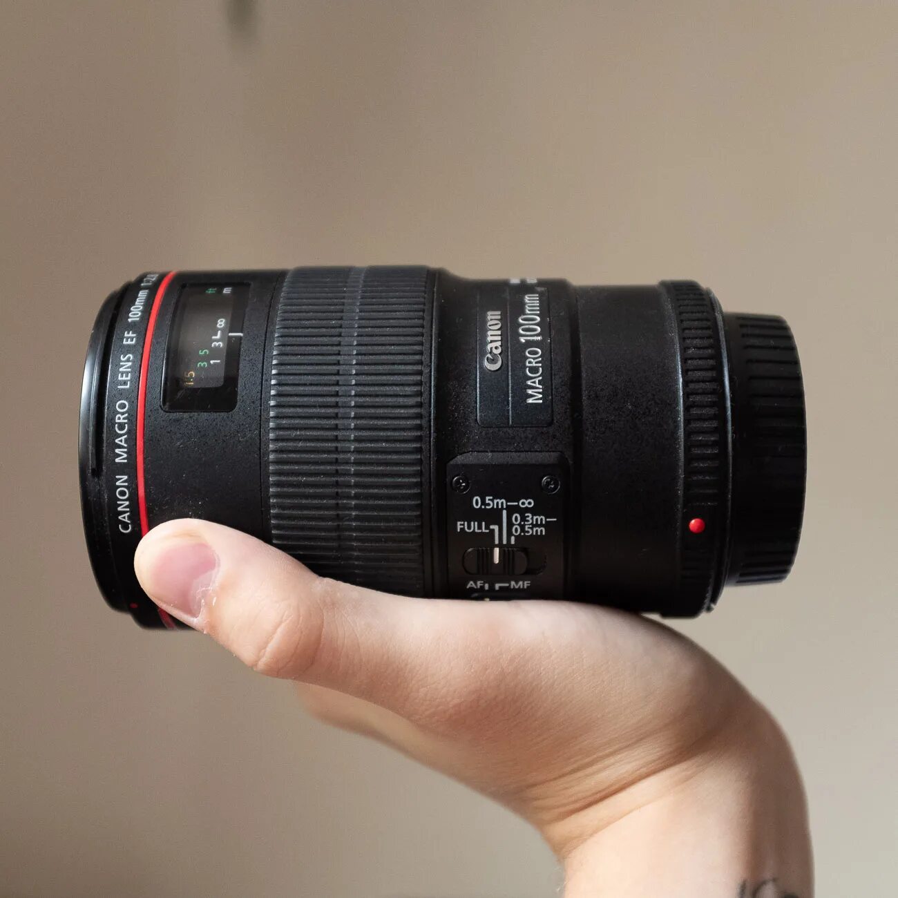 Canon 100mm f 2.8 l