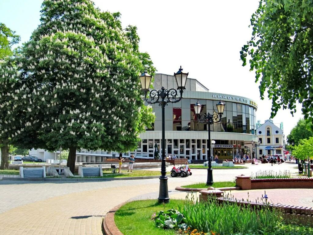 Город Брест Беларусь. Брест центр города. Исторический центр Бреста. Улицы в центре Бреста. Брест со