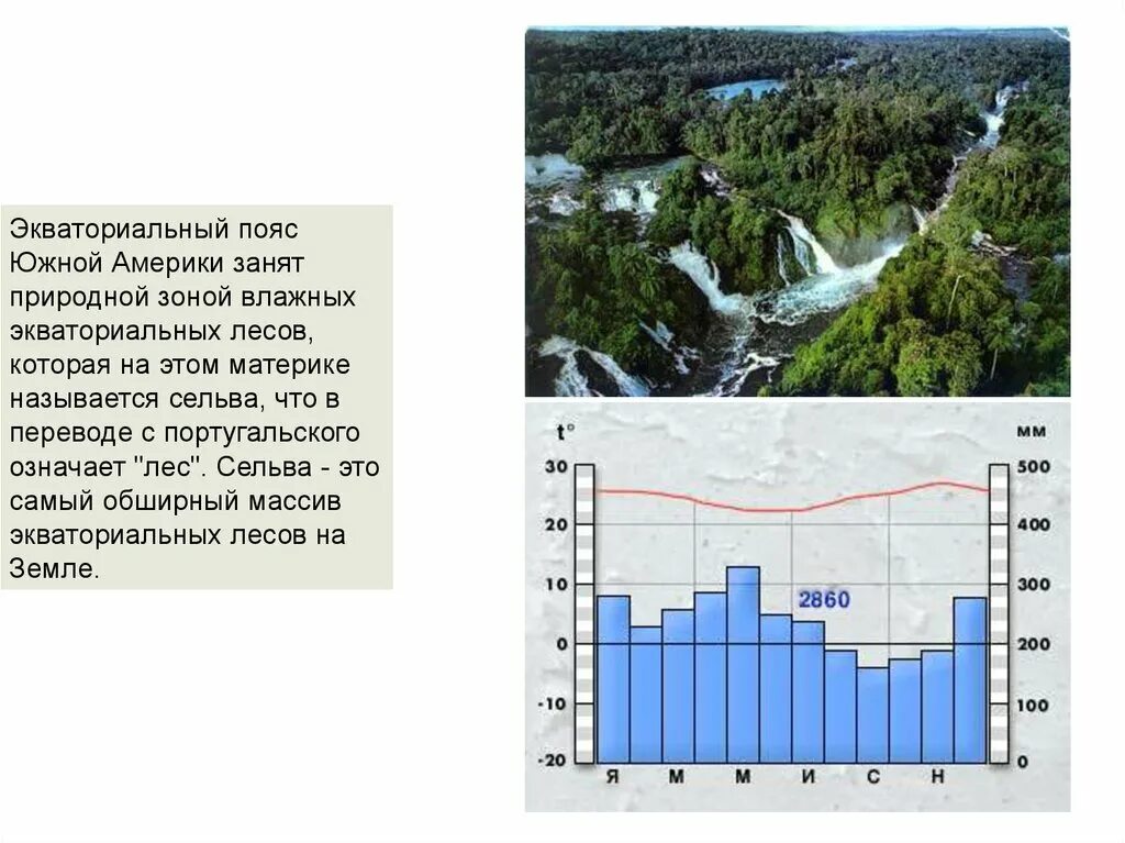 Климат экваториального пояса Южной Америки. Экваториальный климатический пояс Южной Америки. Экваториальный климат Южной Америки. Зоны влажности Южной Америки. Режим осадков южной америки