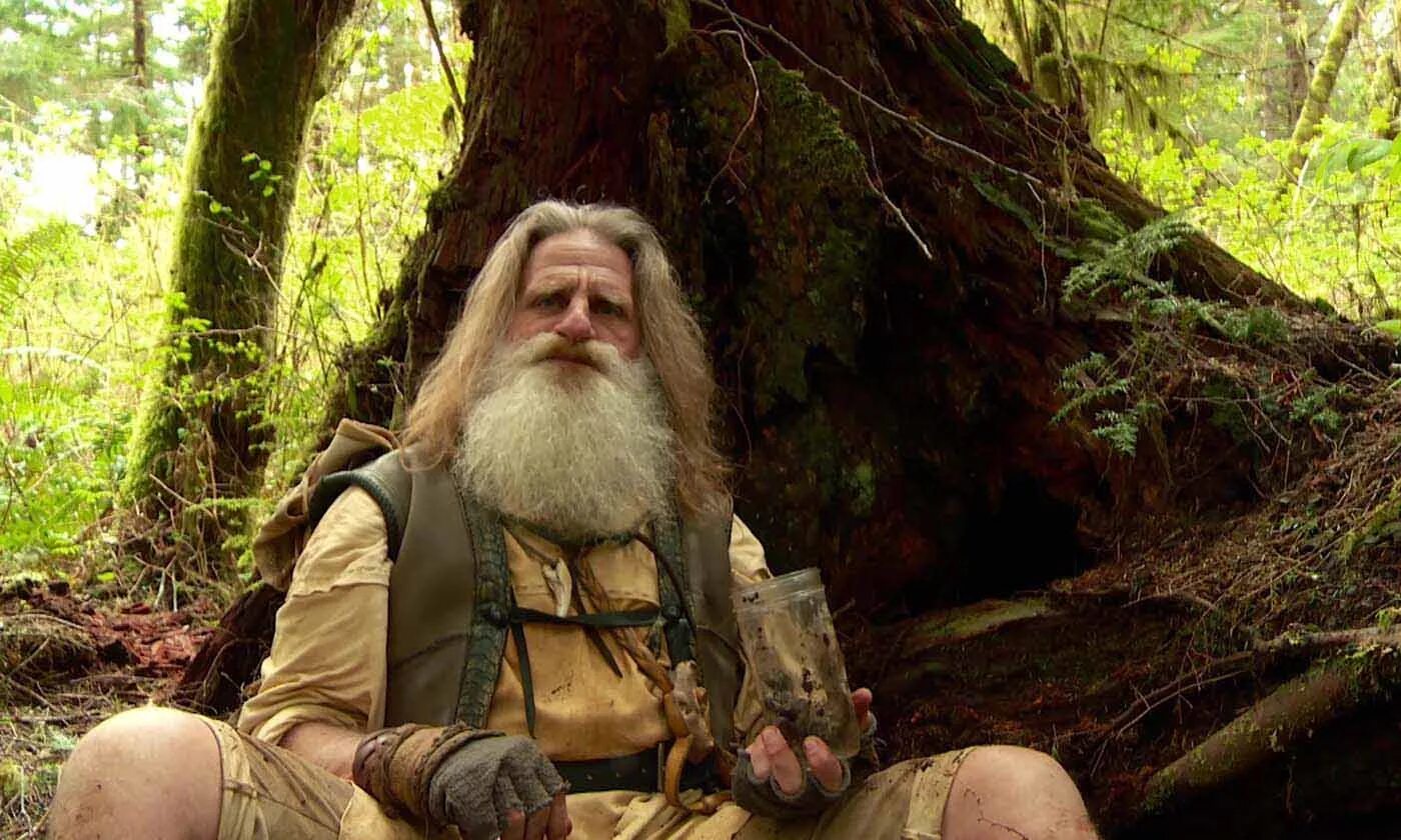 леший александр отшельник. дерево отшельник. дуб патриарх беловежская пуща. леший александр отшельник. дерево отшельник.