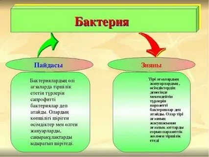 Қалай атайды
