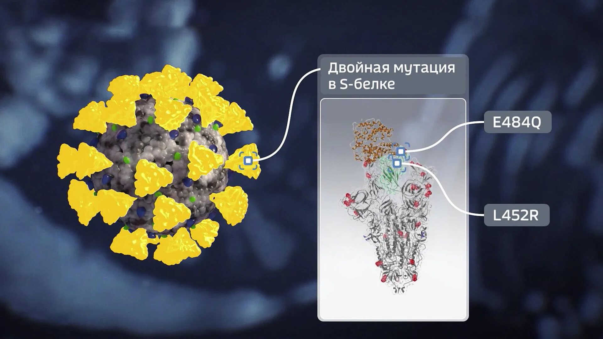 Ковид сейчас симптомы 2024. Штаммы коронавируса. Штаммы вируса коронавируса. Коронавирус новый штамм симптомы. Симптомы Дельта штамма.