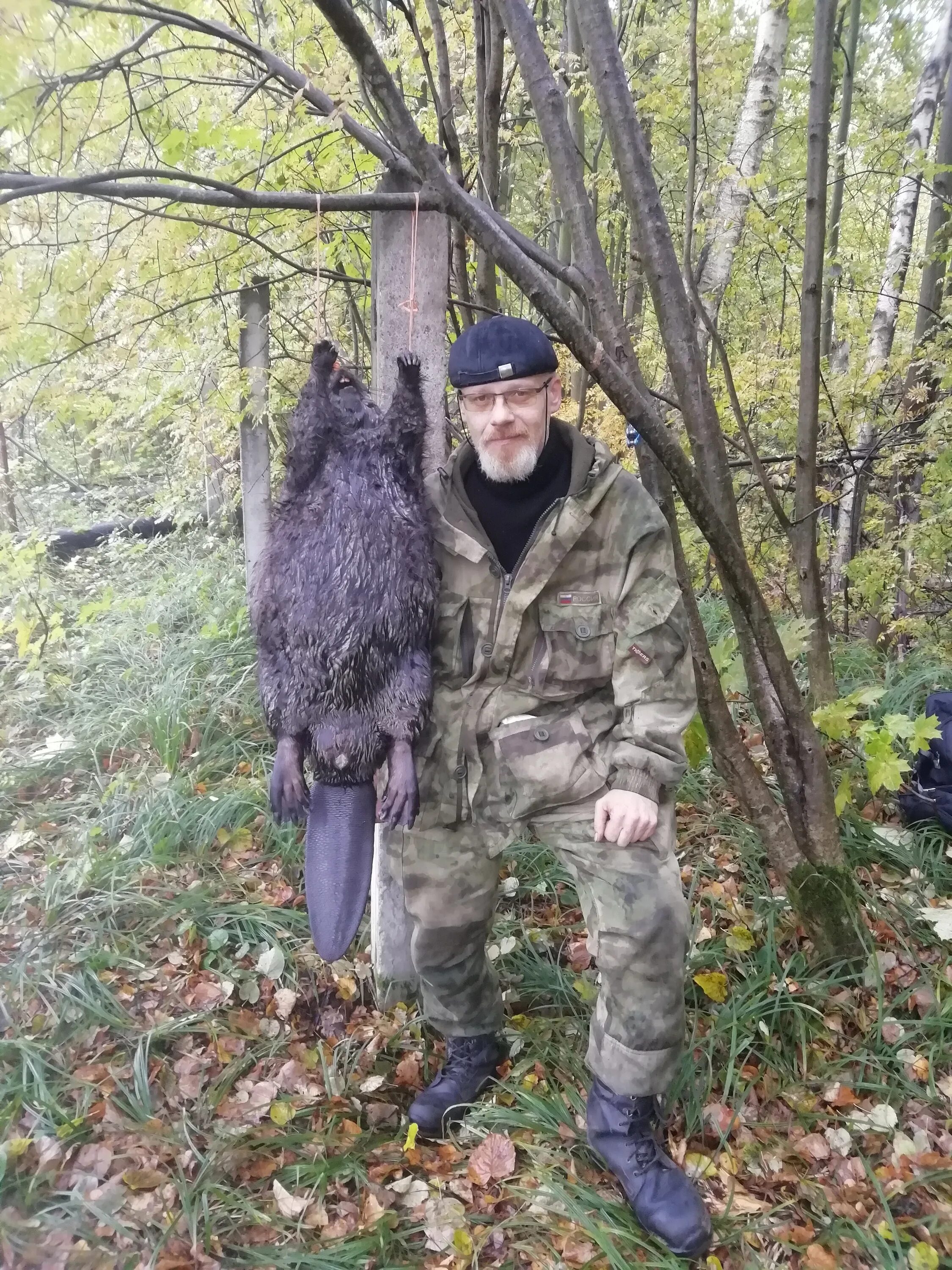 Куда бобра. Огромные бобры. Бобровая струя на бобре.